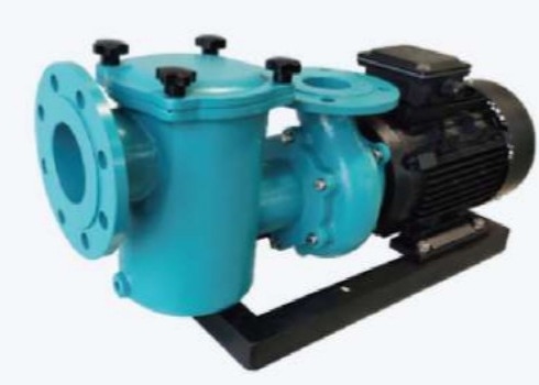 CCPB30 Swimming Pool Water Pumps For Swimming Pool