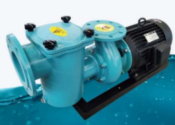 CCPB30 Swimming Pool Water Pumps For Swimming Pool