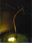 1.5&quot; Brass Chrome Rotation Dragon Water Fountain jet Nozzle Pond Fountain Nozzle Head