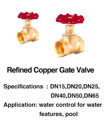 SGS Swimming Pool Fountain Accessories 1 Inch Brass Gate Valve