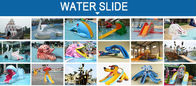 Modern Kids Water Park Equipment Fiberglass Monkey Water Slide